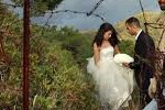 "Io sto con la sposa" in finale ai David di Donatello